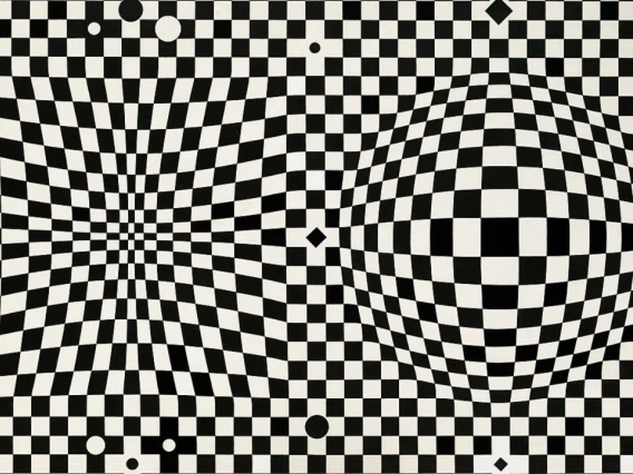 Visual Illusion_GorielyBartlettLecture
