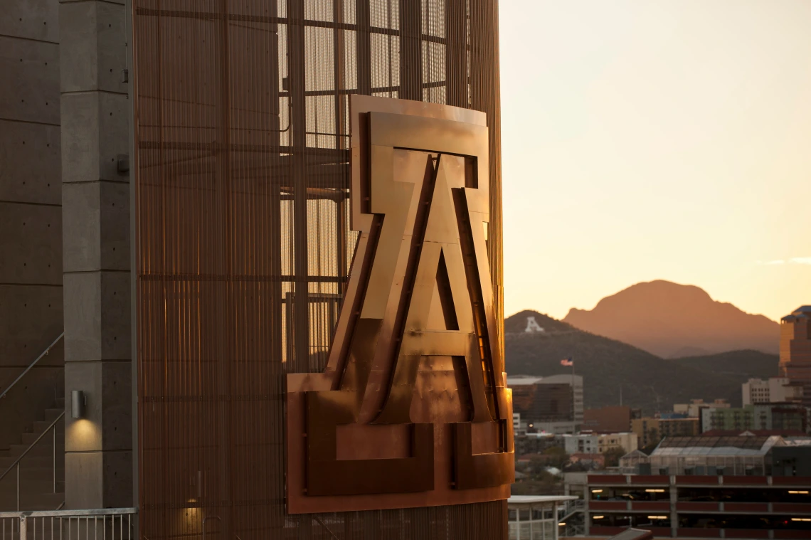 UofA Sunset