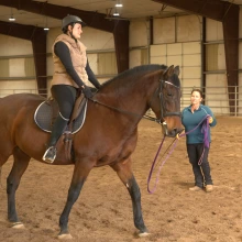 PIF/CURE Course Equine Biomechanics 2