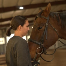 PIF/CURE Course Equine Biomechanics