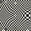 Visual Illusion_GorielyBartlettLecture